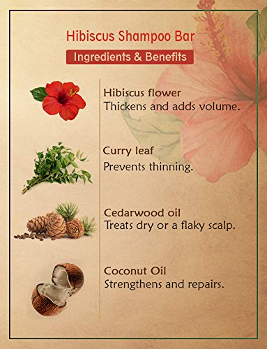 Ancient Living Hibiscus Shampoo Bar - 100 gms Each (Pack of 2)