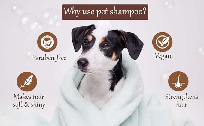 Pet Needs Oh My Dog Paraben Free Ultimate Pet Shampoo for Dogs-berry-coconut | 1000 Ml