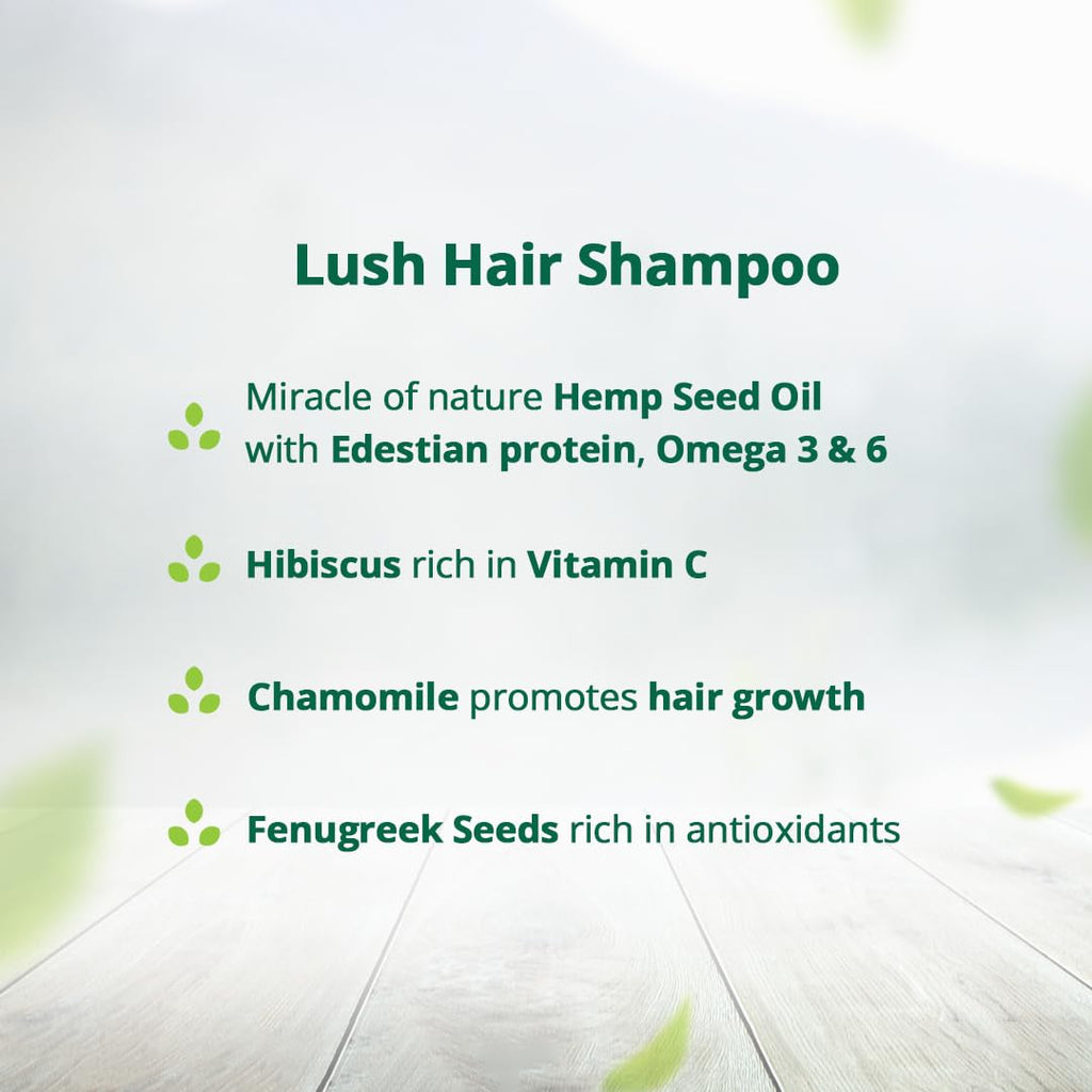 Hampa Hemp Moringa Hair Oil and Lush Hair Shampoo