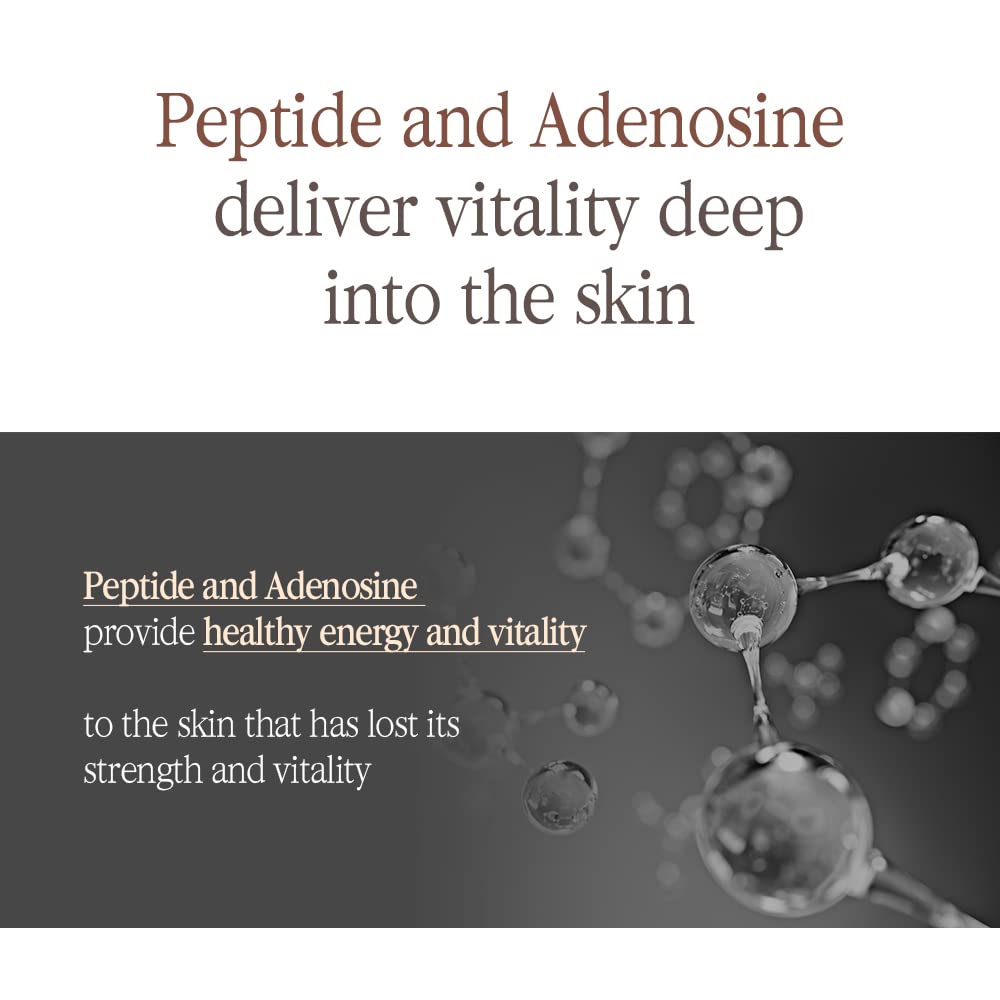 [PKY] Pyunkang Yul Black Tea Boosting Serum for Firm & Dull Skin, Kombucha Fermented Black Tea with Peptides for Fine Line Care, Korean Skincare (45 ml)