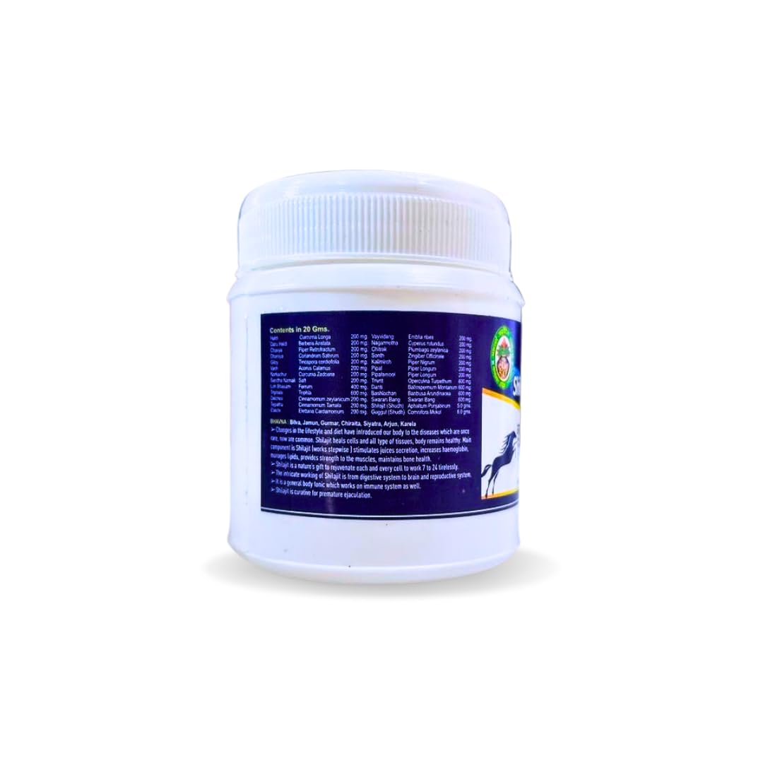 Adarsh Ayurvedic Shilajit Vati - 60 gms