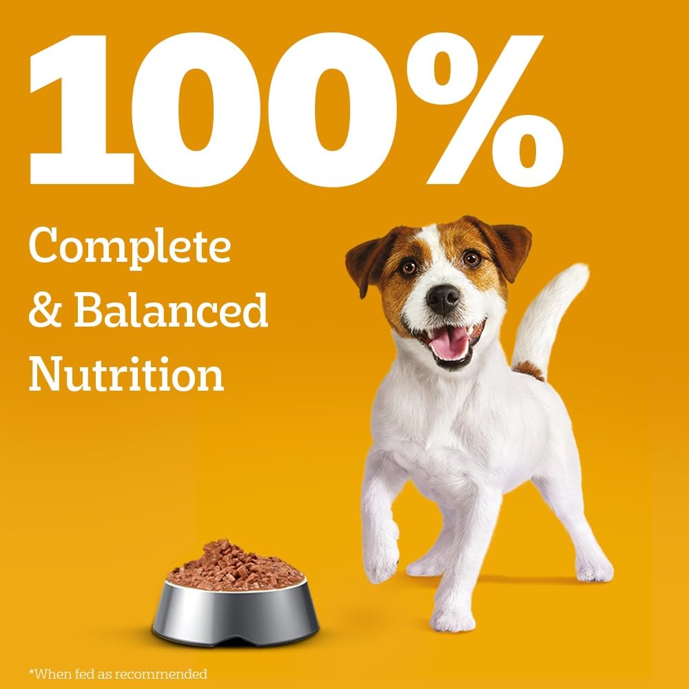 Pedigree Puppy Wet Dog Food, Chicken Chunks in Gravy, 70 g (Pack of 15), Complete & Balanced Meal for Puppies