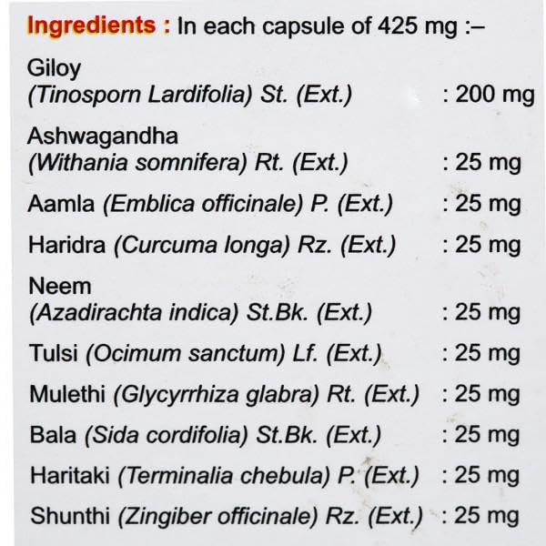Jamna Herbal Natural Wellness Capsules - 60 Caps (Pack of 2)