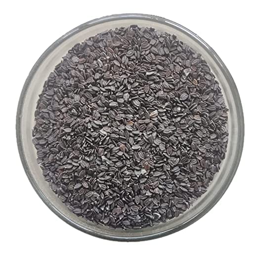 Kartik Export Mahabeera Seeds - Pignut - Vilati -Bhustrna - Sirna - Jungle Tulasi Seeds - 1Kg