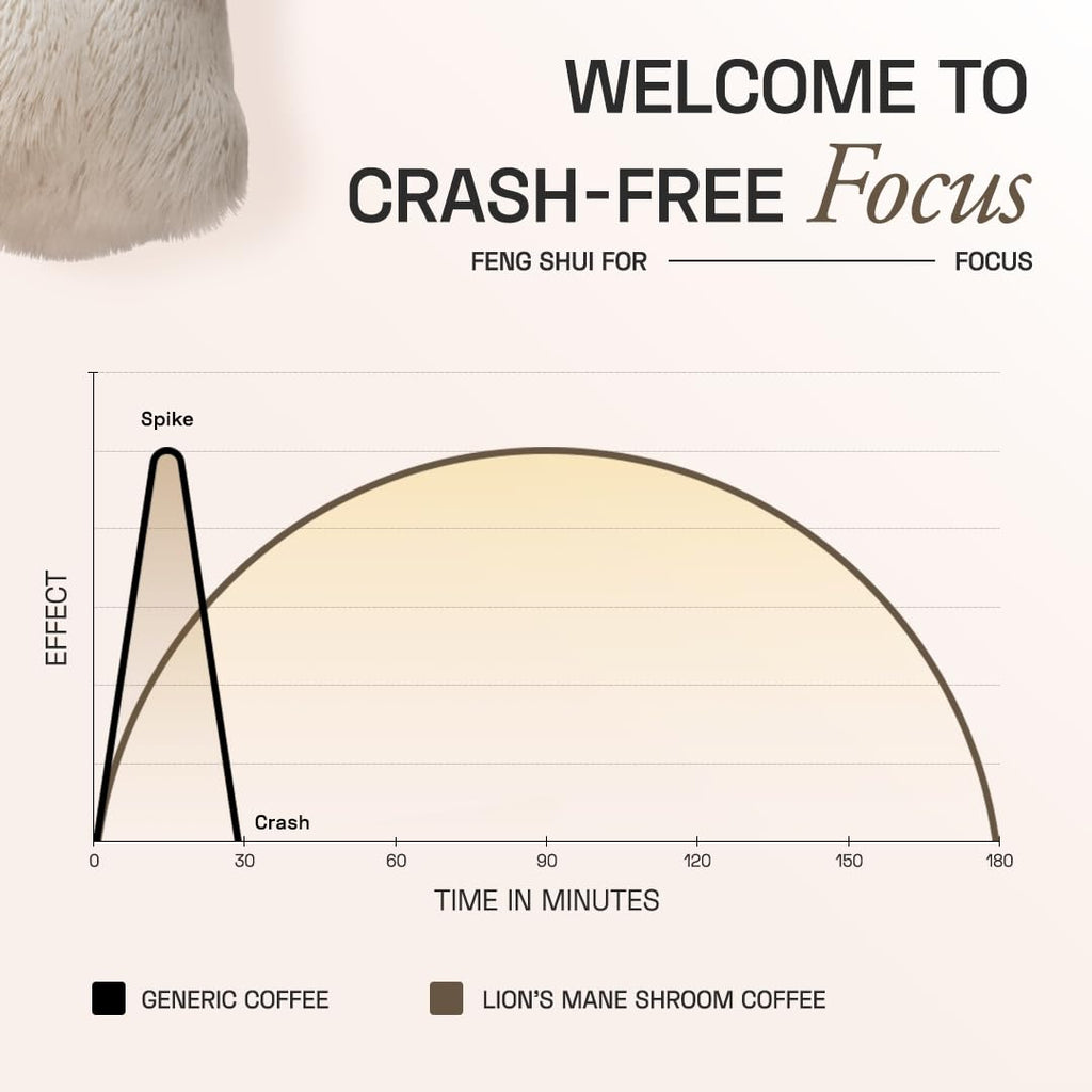 Ace Blend Lions Mane Shroom Coffee (15 Serves) | 500mg Lion's Mane Extract | KSM-66 Ashwagandha | L-Theanine & MCT Powder | Focus | Memory | Cognitive Support | Instant Coffee | Medium Roast Blend
