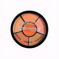 INSIGHT Pro Concealer Palette â€“ Shade Concealer | Makeup Wheel for Face | Satinâ€“Matte Finish | 3-in-1 Conceal, Contour & Correct | Waterproof | Full Coverage | 15gm