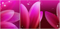 Rangoli MDF 3 Pcs Wall Poster 12x18 Inch Decorative Wall Art P-4 Design-4