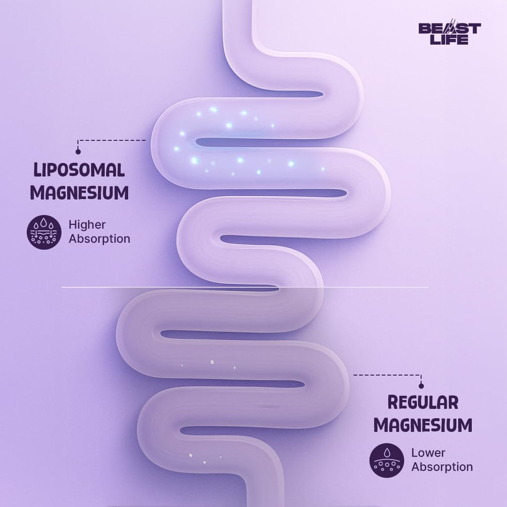 BeastLife Triple Liposomal Magnesium | 3-in-1 Formula with Magnesium Glycinate, Magnesium Oxide & Liposomal Magnesium Oxide | Maximum Absorption | Supports Sleep, Stress & Mood | Muscle, Bone & Nerve Health | 60 Capsules