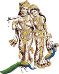 Rangoli Vinyl Wall Sticker Multicolour Vinyl Medium Size 40cm or 50 cm Pack of 1 Sticker