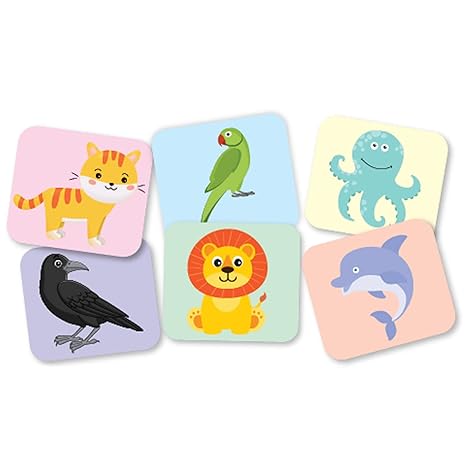 Popcorn Games Memory Game Animal and Birds Early Learner Matching Picture Card Game with Animal and Birds