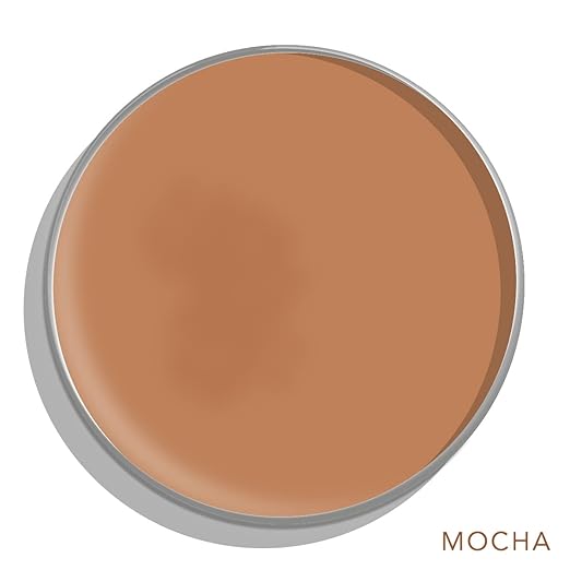 Daughter Earth Mocha High Coverage Concealer for Face Makeup, Lightweight and Breathable - 4.5 Gms