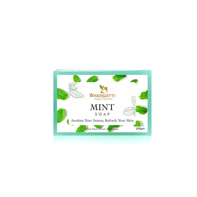 Prasatti Herbal Organic Cool Mint Bathing Soap for Removing Dirt & Impurities - 100 Gms | Pack of 2
