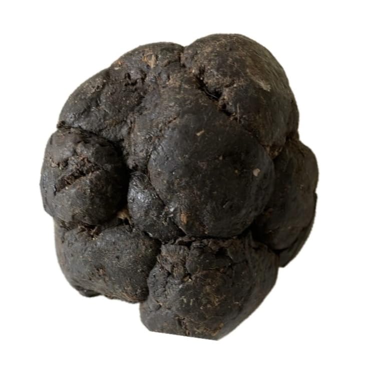 Shiva Organic Propolis - Raw & Unprocessed - 1000 gms