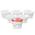 Larah by Borosil Cassata Ice Cream Bowl/dessert Set | Set of 6 | Glass | 220 Ml