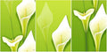 Rangoli MDF 3 Pcs Wall Poster 12x18 Inch Decorative Wall Art P-4 Design-11