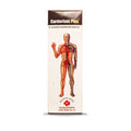 Alakananda Herbals Plus Syrup - 300 ml