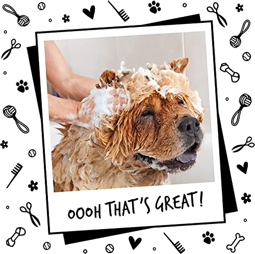 Pet Needs Oh My Dog Paraben Free Ultimate Pet Shampoo for Puppies & Dogs | Berry-coconut | 500 Ml
