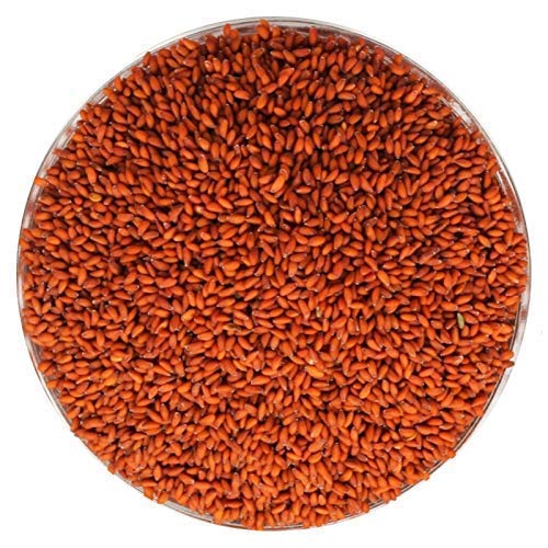 NutriOrganics Halim Seeds 1kg - Aliv Seeds | Haleem Seeds | Seeds for Eating | Immunity Booster Superfood | Asaliya, Garden Cress Seeds, Multi