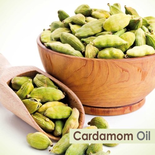 Salvia Cardamom Oil with Dropper Essential Oil - 100 ml