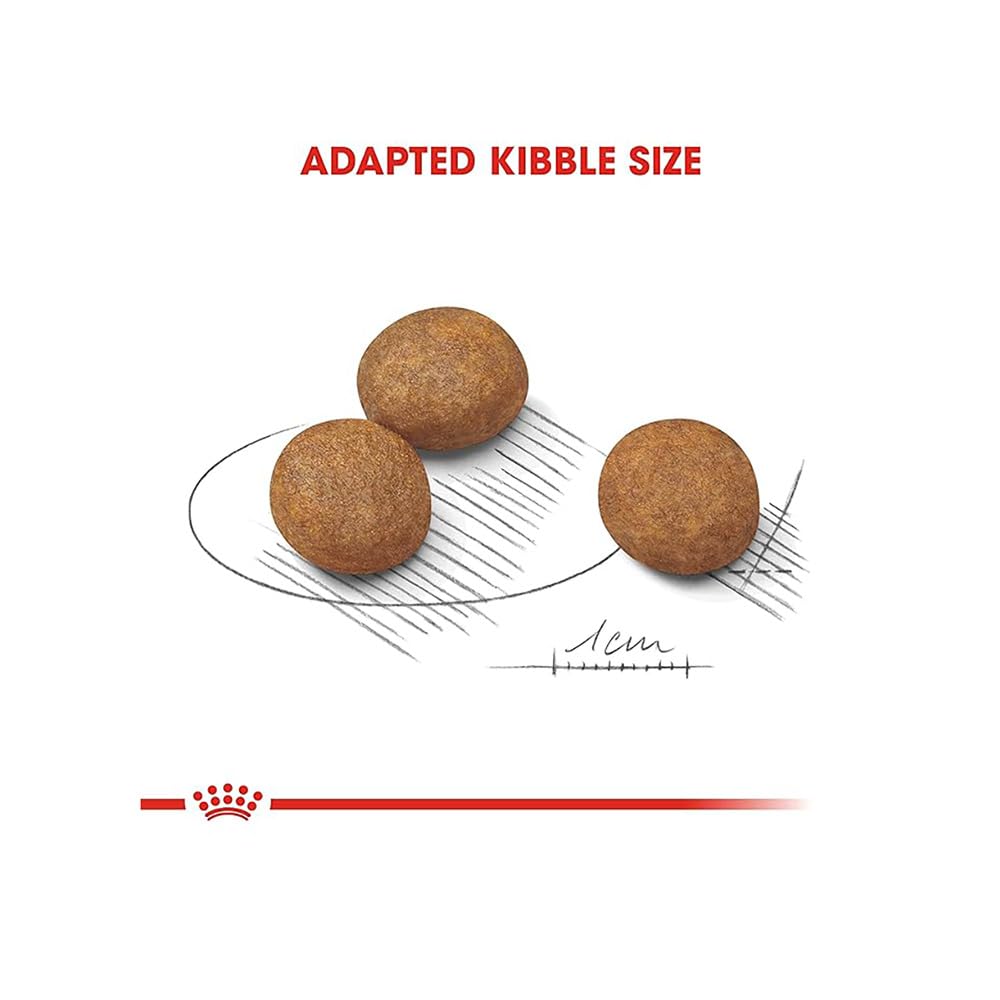 Royal Canin Maxi Puppy Food, Dry Food, Supports Immune System & digestive health, Provides Long growth, moderate energy, 1 Kg