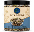 MORVI NUT 5 in 1 Seeds Mix 100g - Edible Seeds | Healthy Super Seed Combo | Healthy Snacks | 100% Natural and Roasted Mix Seed for Eating Diet Snacks Perfect for Giftings