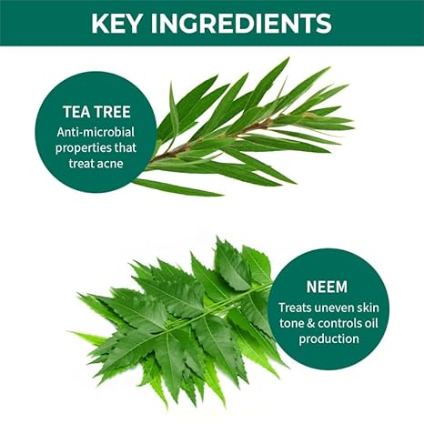 Nykaa Naturals Tea Tree & Neem Purifying & Hydrating Gel - 100 gms