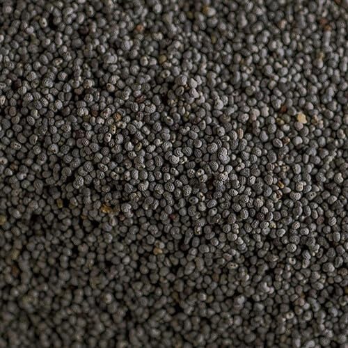 Namo Organics - Original Poppy Seeds (Black) - 200g - 100% Natural Khus khus for Cooking & Baking