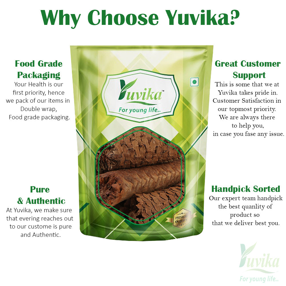 Yuvika Gaj Pipal - Sccindapsus Officinalis