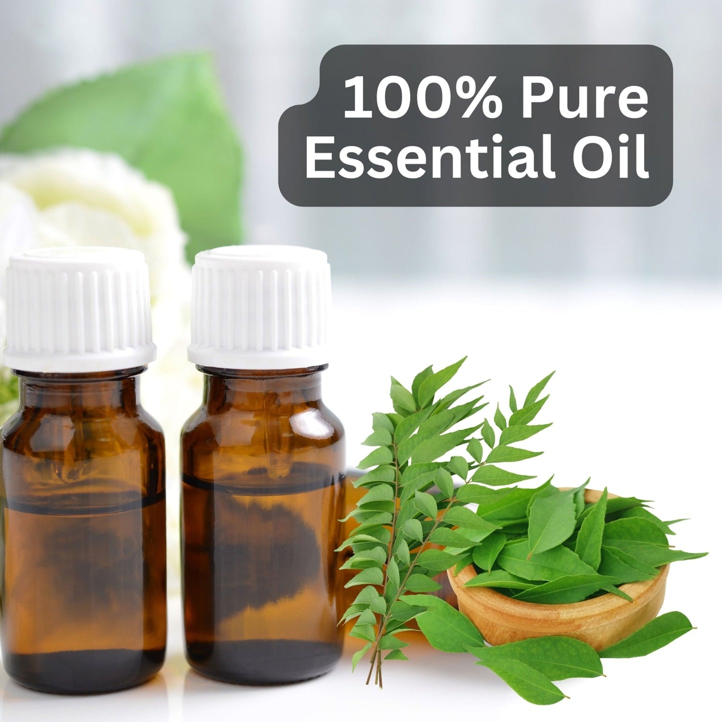 Aroma Treasures Curry Leaf Pure Essential Oil