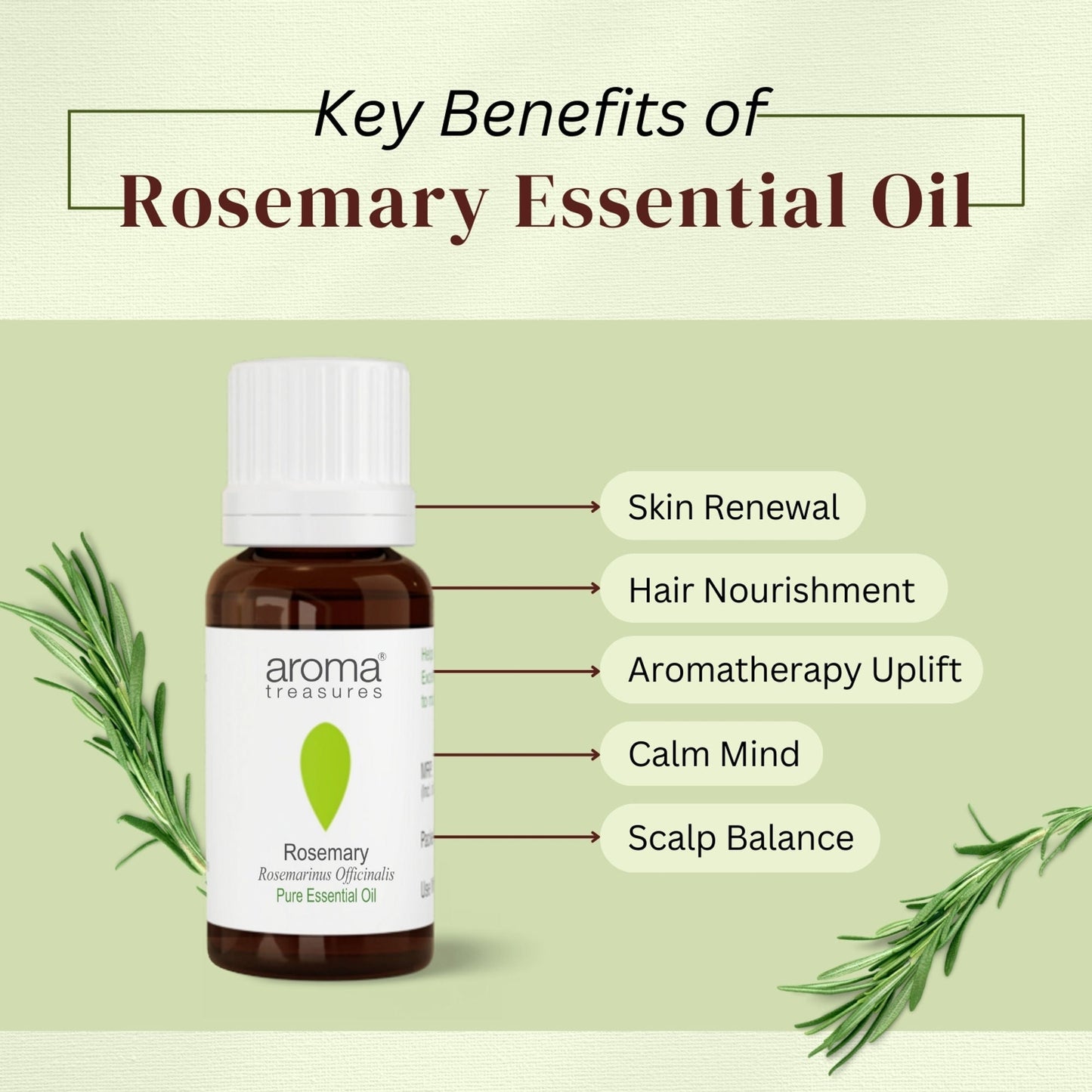 Aroma Treasures Rosemary Pure Essential Oil