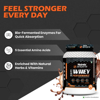 Patanjali Nutrela Sports Whey Performance (Choc-irish)