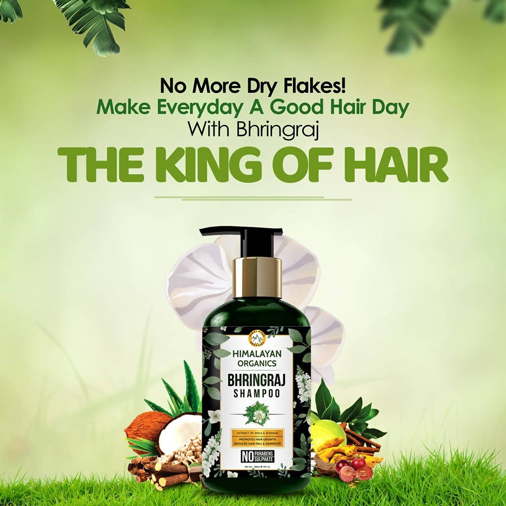 Himalayan Organics Bhringraj Shampoo - 300 ml