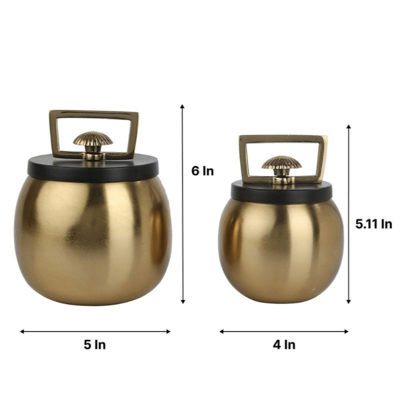 Darius Box | Set of 2 | Multiple Colors
