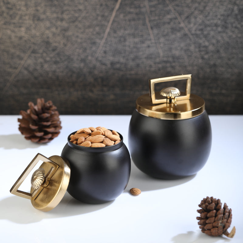 Darius Box | Set of 2 | Multiple Colors