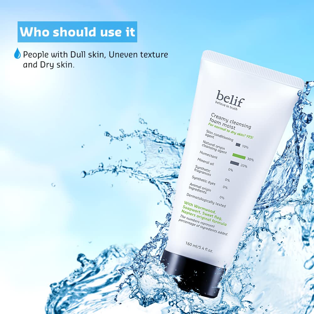 Belif Creamy Cleansing Foam 160ml