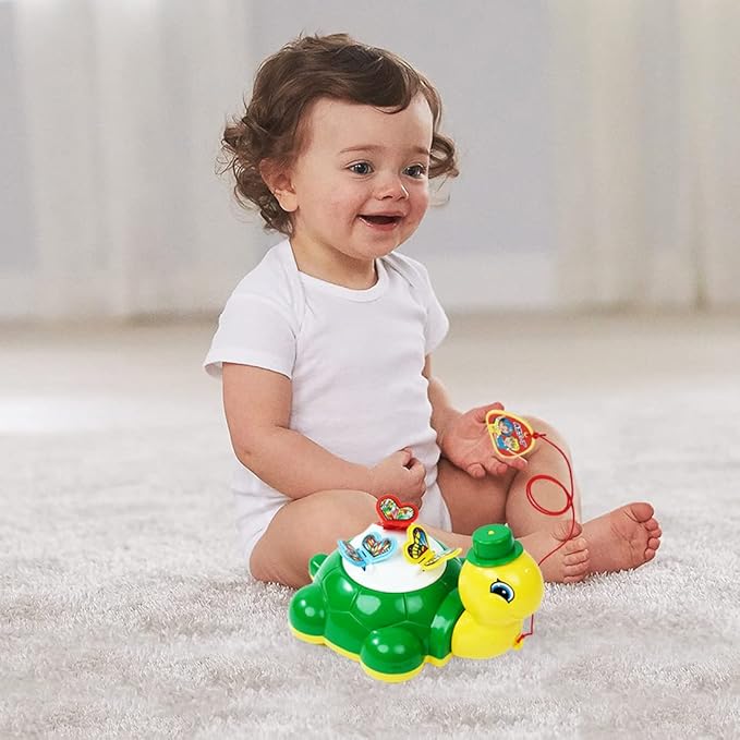 Wembley Turtle Butterfly Pull Along Toy Multicolor