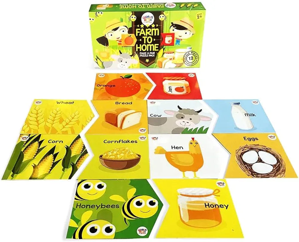 Genius Box Educational Toy for 3 Years and Up: Farm Fun DIY,Activity Kit, Learning Kit, Educational Kit, STEM Toy 14 Activity Kit