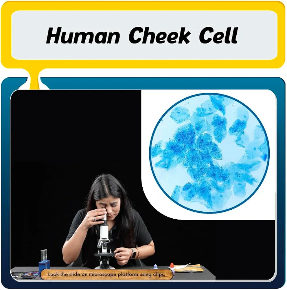 PW Science Experiment Kit For CBSE Class 9 NCERT Aligned | Science Kit
