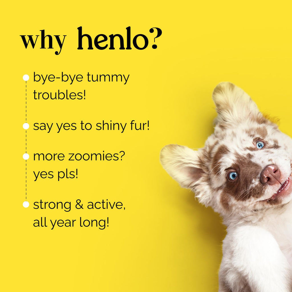 Henlo Chicken and Egg Baked Dry Dog Food for Adult and Puppy Dogs | 800G | 100% Human-Grade Ingredients | Nutritionally Balanced Healthy Dog Food