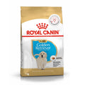Royal Canin Golden Retriever Puppy Food, Dry Food, Supports Immune System & Digestive Health, Promotes Healthy Skin & Coat, 1 Kg