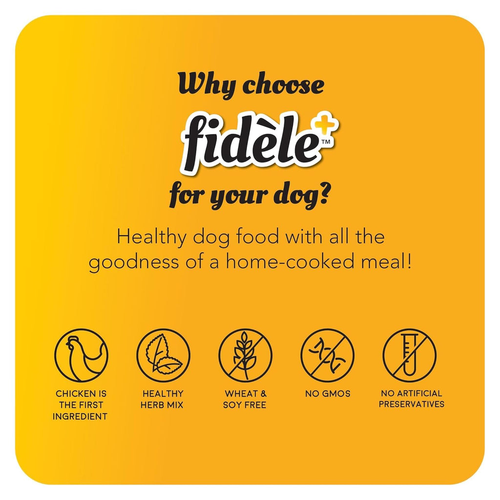 Fidele+ Adult Small & Medium Dog Food | 900g | Small Kibble for Fussy Eaters | Prebiotics for Digestion | Healthy Skin & Coat | Real Chicken