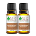 Bliss of Earth Premium Frankincense Boswellia frerana Essential Oil - 10 ml Each (Pack of 2)