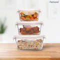 Femora Borosilicate Rectangular Glass Food Storage Container With Air Vent Lid | Set of 3 Pieces | 400 Ml, 620 Ml, 1000 Ml