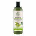 Petal Fresh Pure Moisturizing Grapeseed & Olive Oil Conditioner - 355 ml