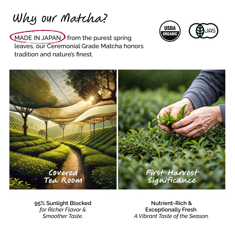 ILEM JAPAN Japanese Matcha Tea