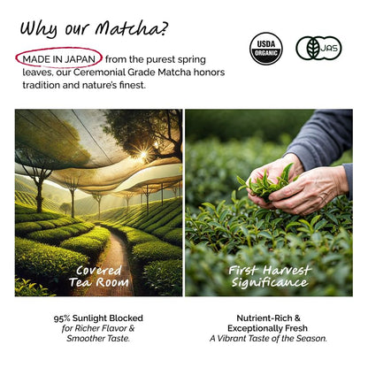 ILEM JAPAN Japanese Matcha Tea