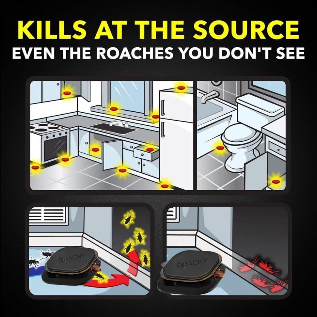 NOROACHY Natural Cockroach Killer for Kitchens, Bathrooms, and Cabinets, for Indoor Cockroach Control, Anti Roach Gel - Cockroach Killer, cockroach repellent, roach repellent for cockroach (6 BAIT)