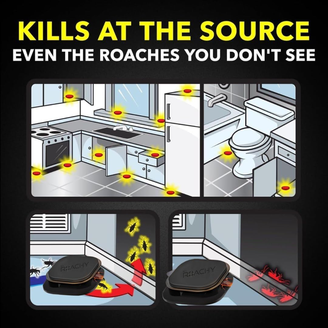 NOROACHY Natural Cockroach Killer for Kitchens, Bathrooms, and Cabinets, for Indoor Cockroach Control, Anti Roach Gel - Cockroach Killer, cockroach repellent, roach repellent for cockroach (6 BAIT)