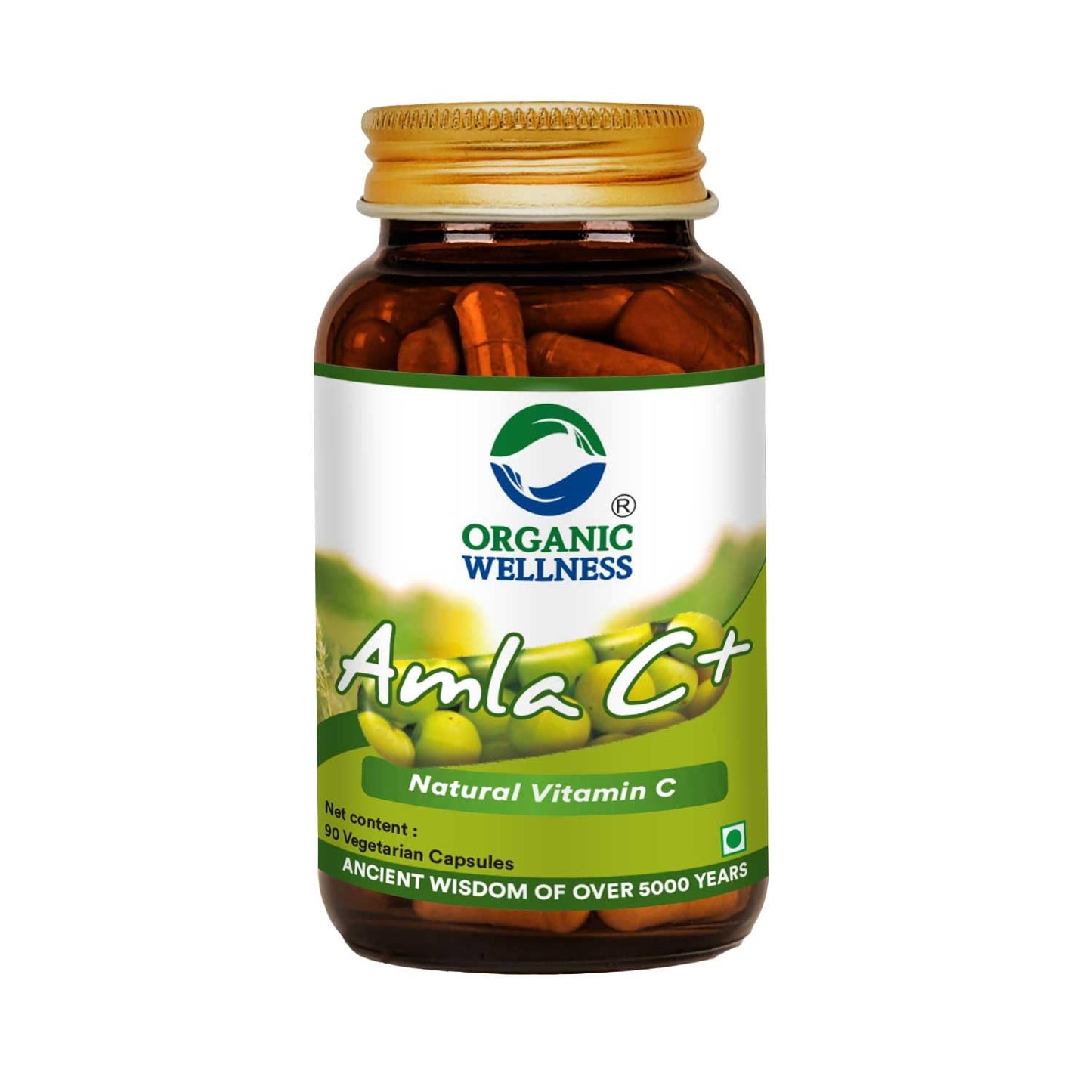 Organic Wellness Amla C+