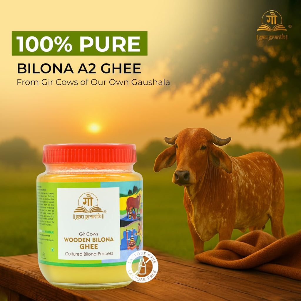 cow ved GauGranth A2 Gir Cow Ghee – 500ml (Pack of 1) | Traditional Wooden Bilona Desi Ghee | Hand-Churned from Grassfed A2 Gir Cow Milk | 100% Pure, Natural & Healthy | Vedic Method | Glass Jar Packaging
